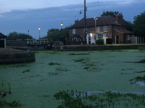 Selby Canal basin