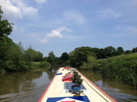 River in Sunshine